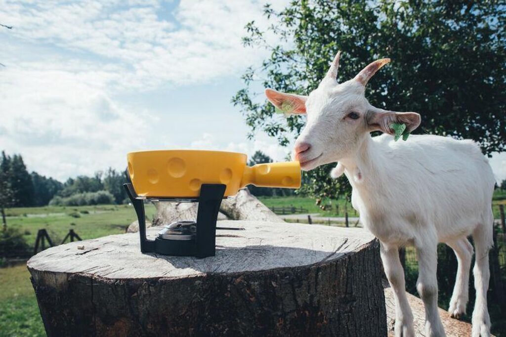 Boska Fondueset Super Cheesy Fondue – 1.3 liter inhoud – 6 vorken